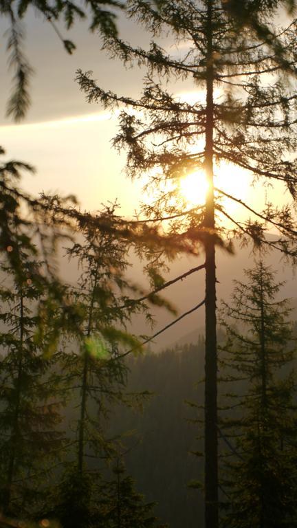 Naturhotel Ortners Eschenhof 바트키르히하임 외부 사진